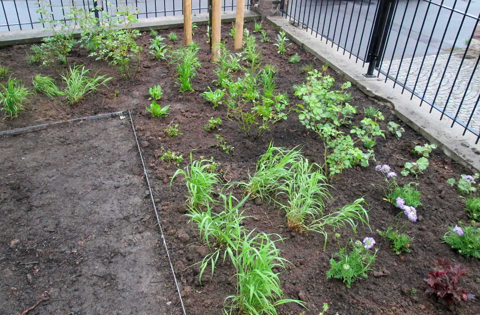 Beet bepflanzen gewerbliche Pflanzarbeiten