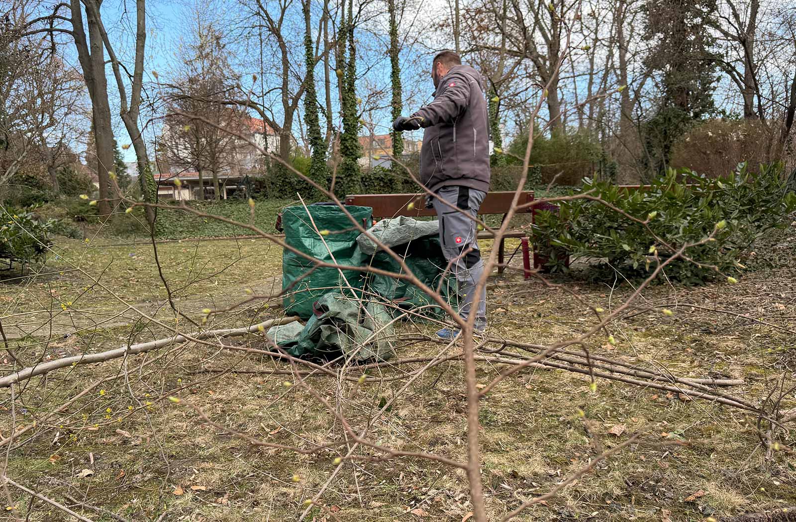 Gehölzpflege Gehölzschnitt