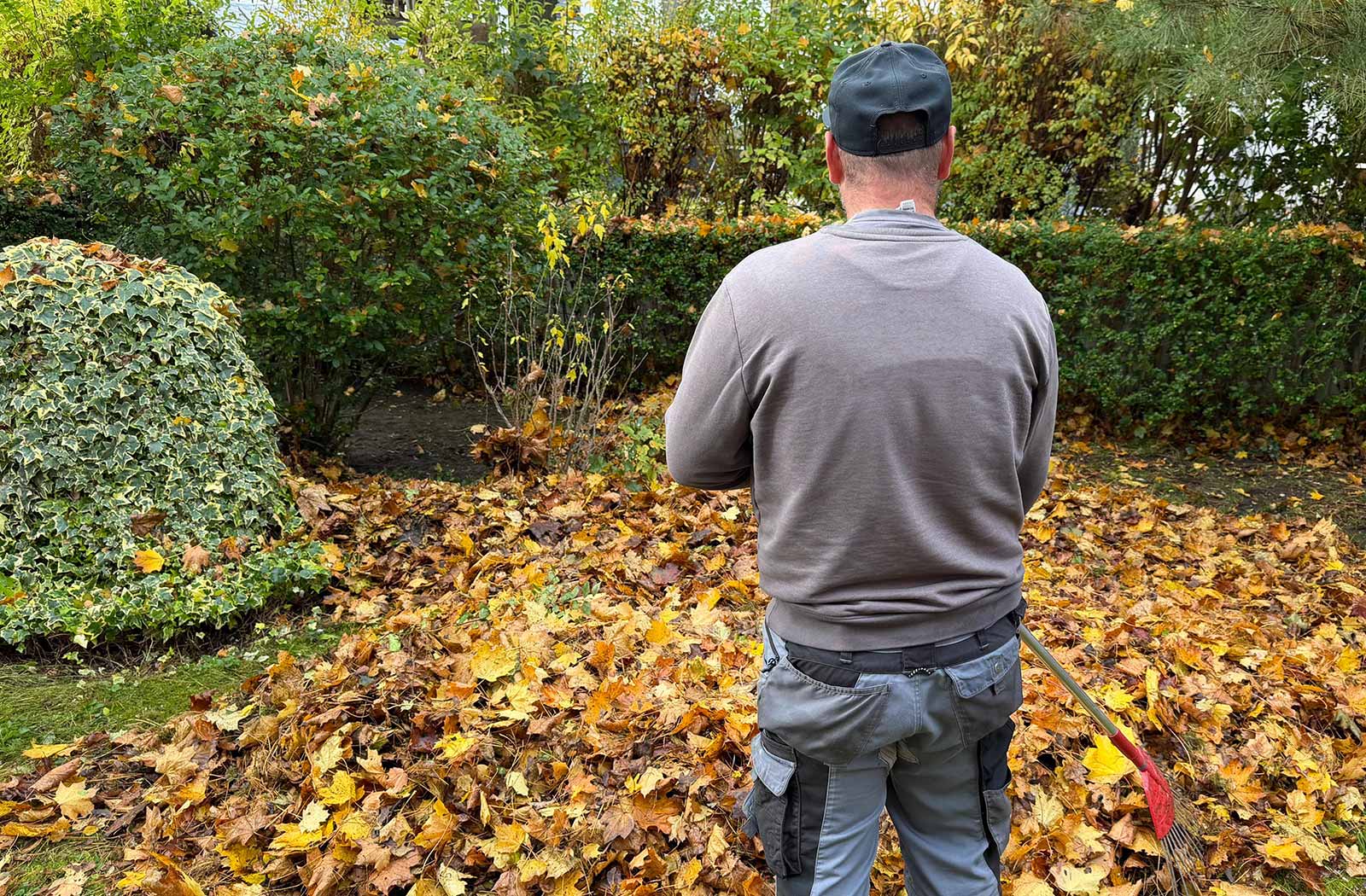 Grünanlagenpflege Grünflächenpflege