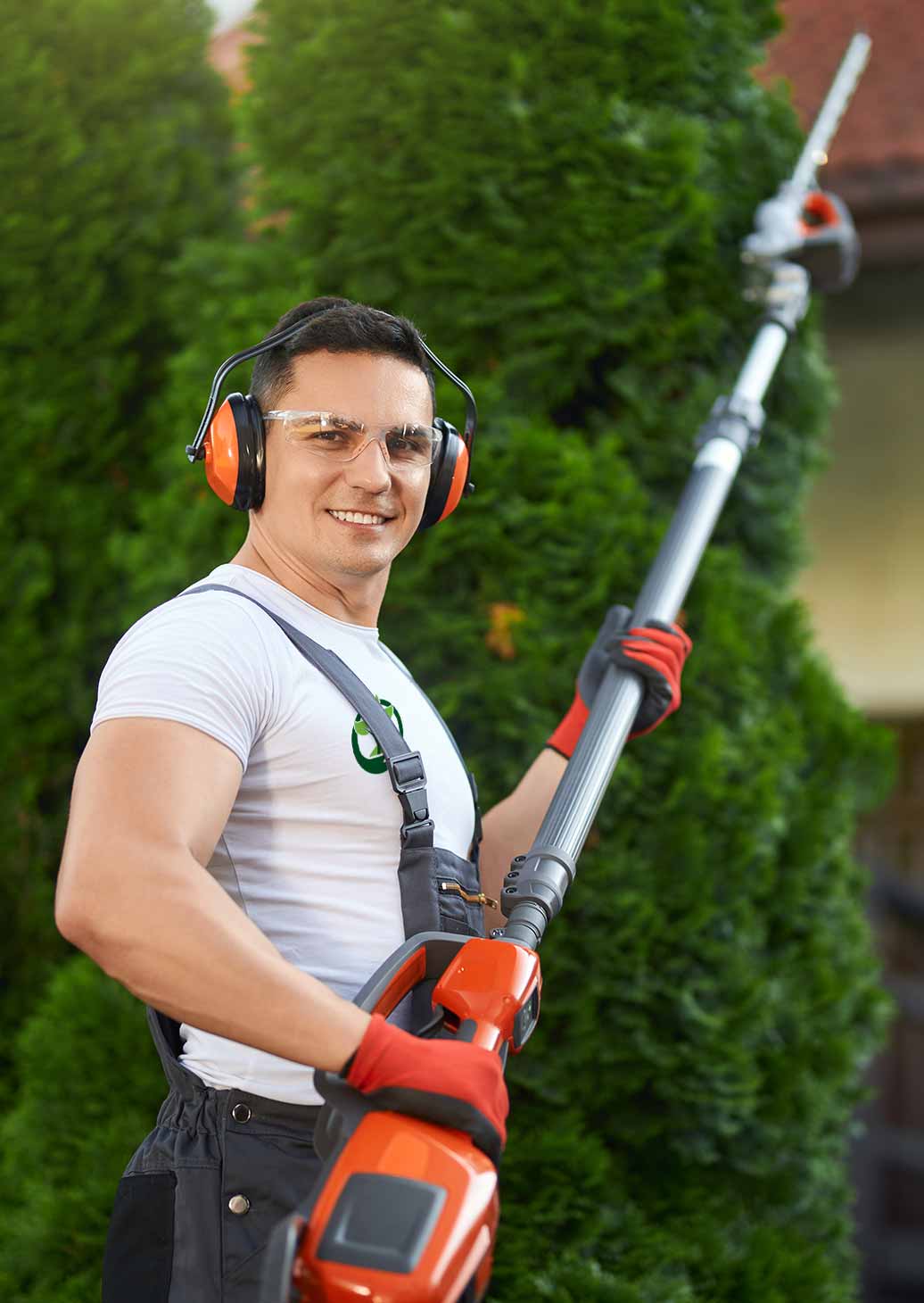 Hecke schneiden lassen Hecke schneiden lassen