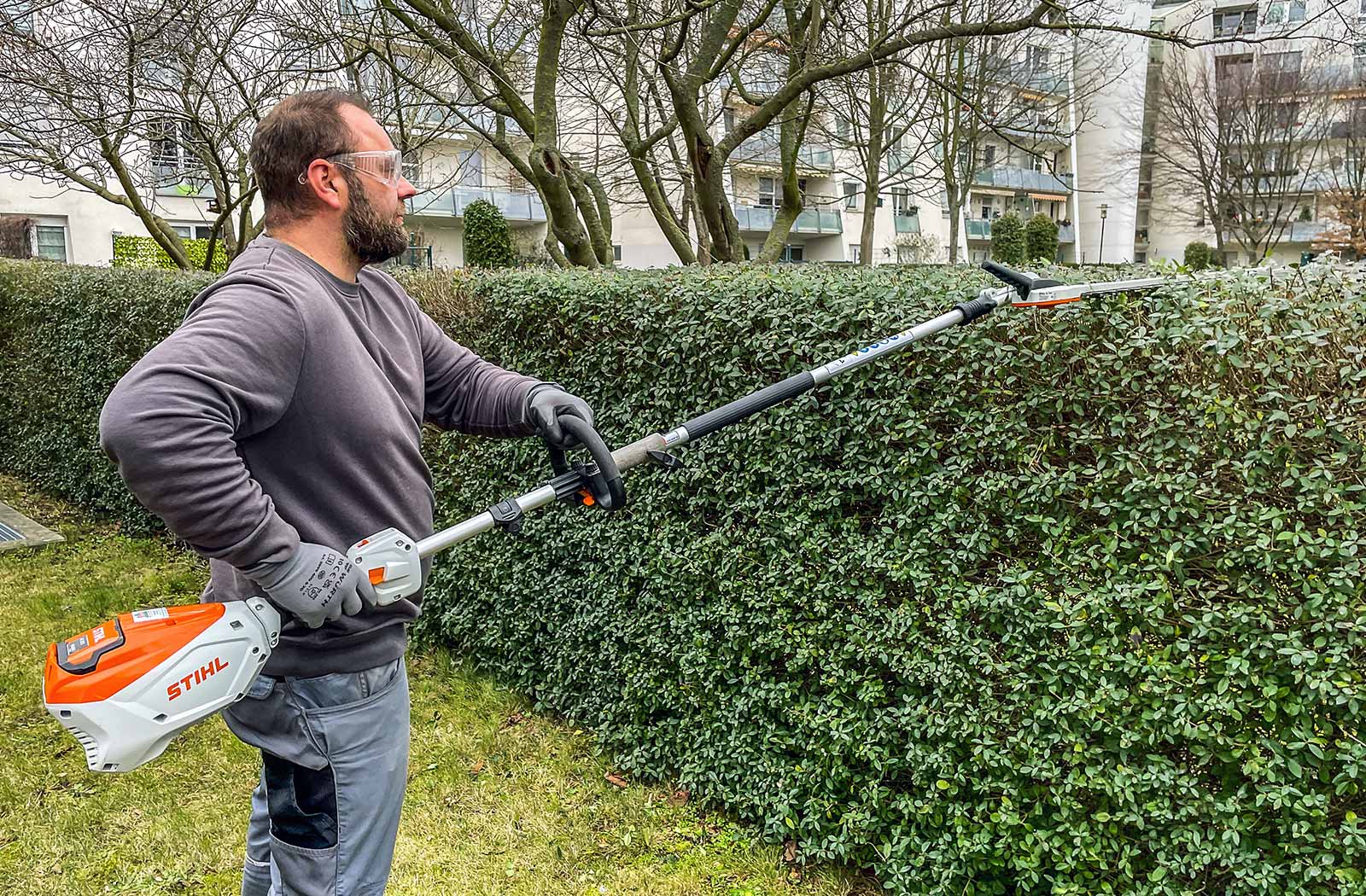 Hecke schneiden Hecke schneiden lassen