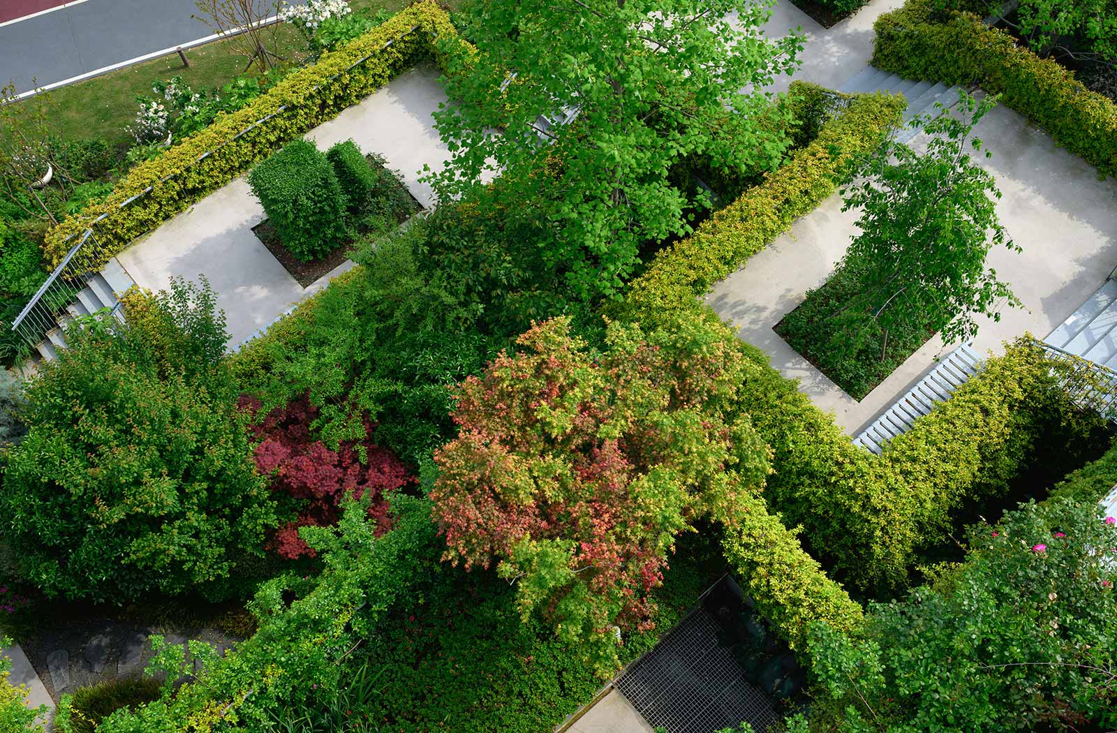 hohe Hecken schneiden lassen hohe Hecken schneiden