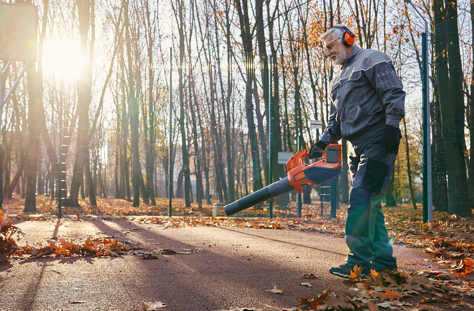 Laubentfernung Laub entfernen