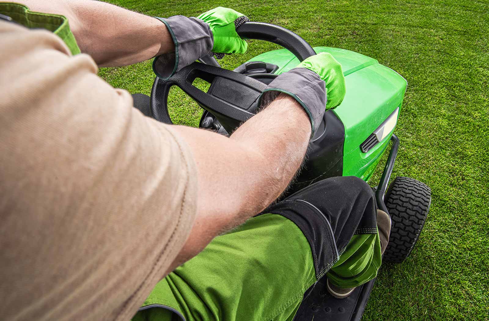 Rasen mähen Rasen mähen lassen