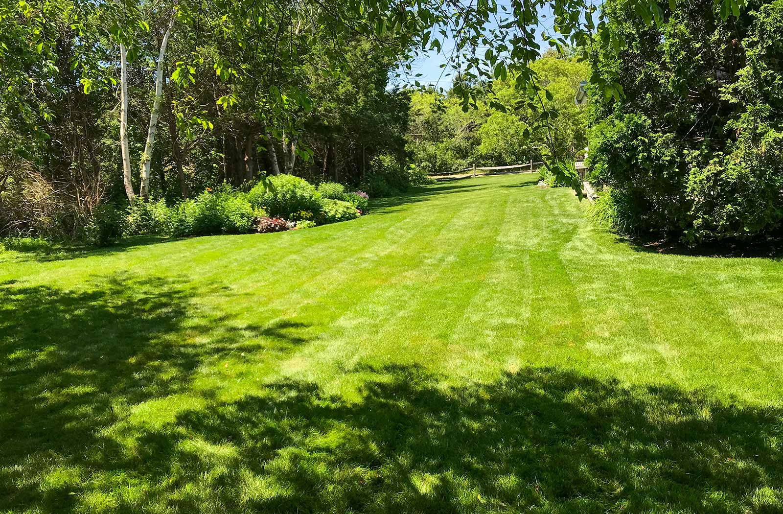 Rasenpflege Rasenschnitt