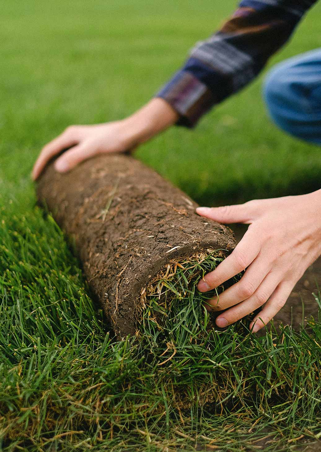 Fertigrasen verlegen