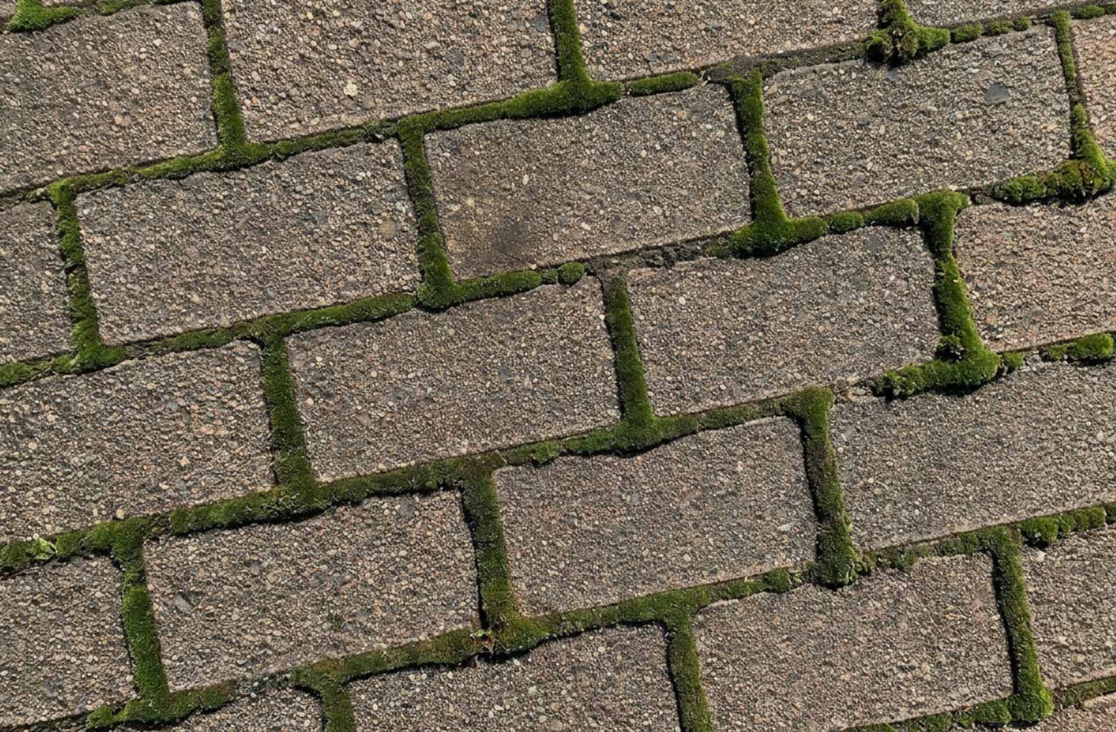 Pflasterreinigung vorher