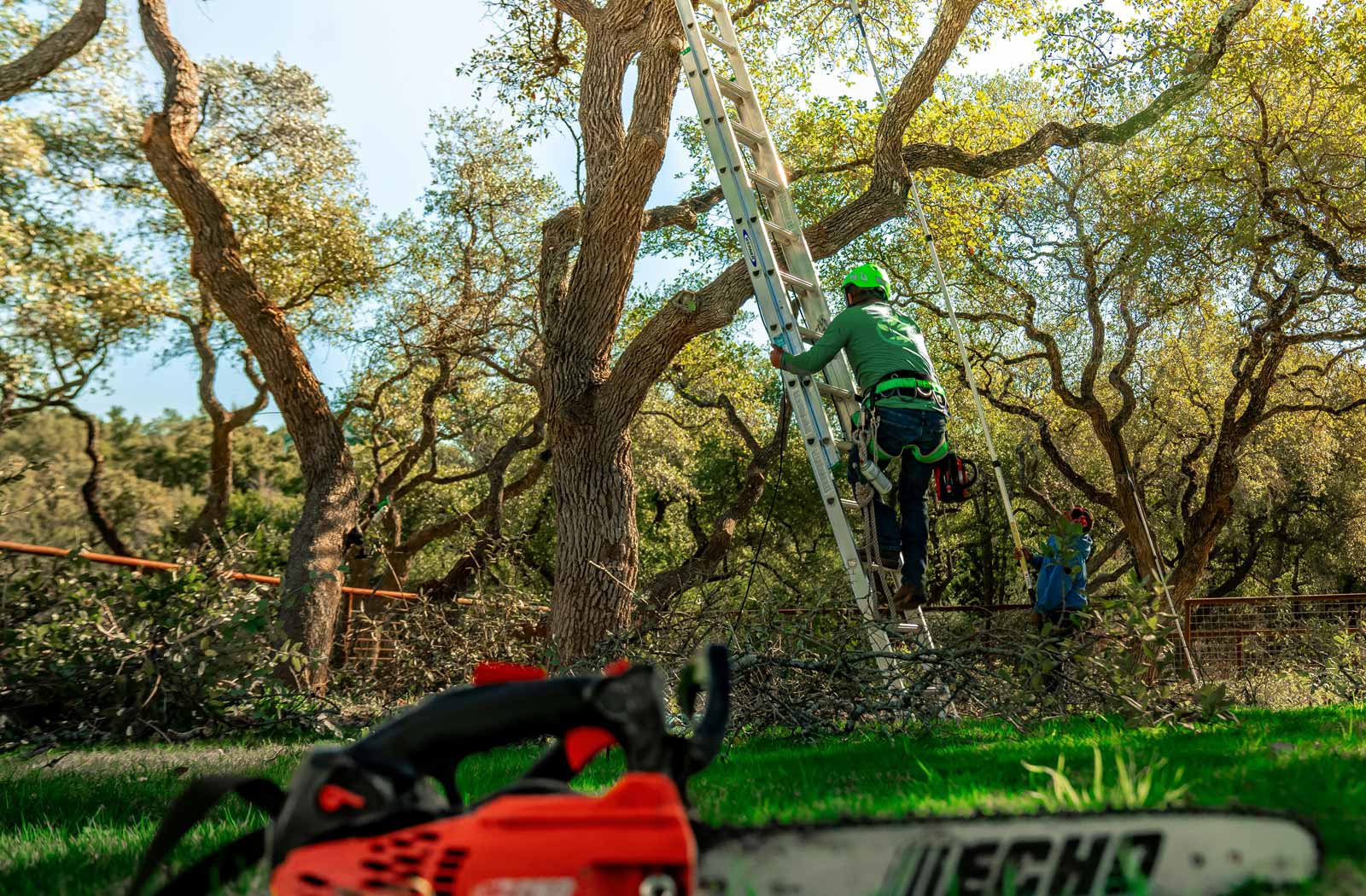 Sturmschadenbeseitigung Risikofällung